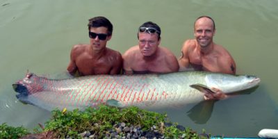 dean macey arapaima 1.jpg